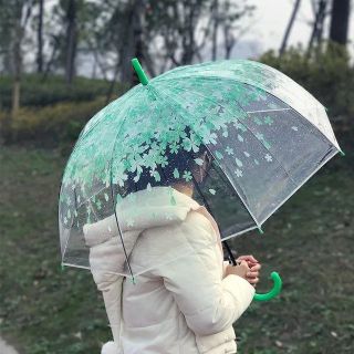 چتر شفاف شکوفه